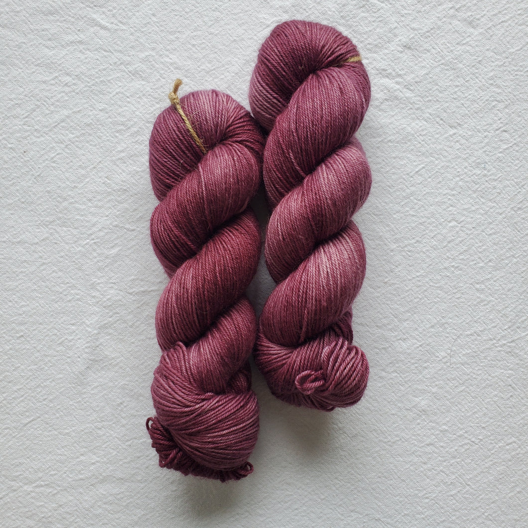 Beetroot - Traveler DK